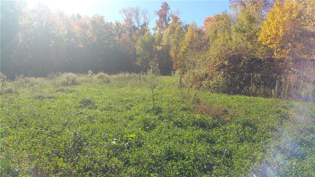 45 Smith Road New Sharon, ME 04955 - Photo 7 of 29 Pasture