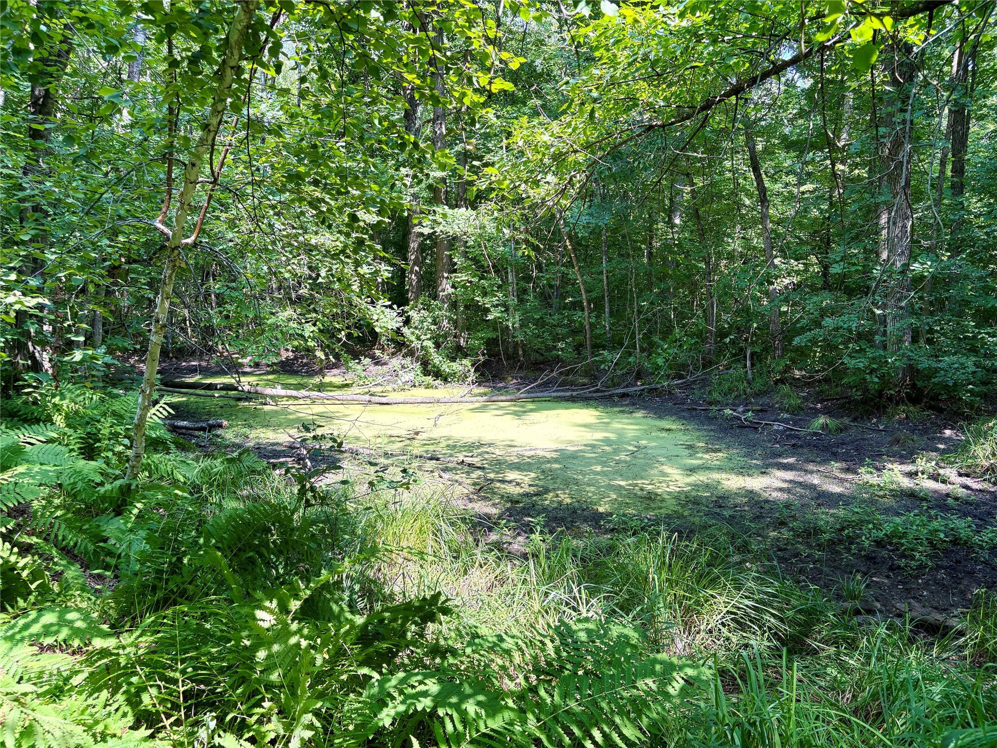 Tbd 27th Street Chetek, WI 54728 - Photo 51 of 55 Gallery Image 51