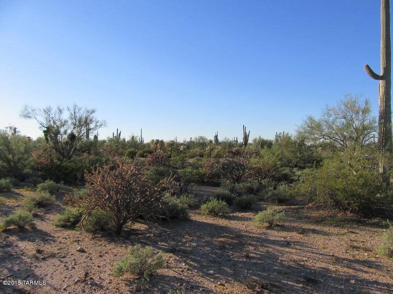 Xx South Davis Ranch Road, Unit 5AC Marana, AZ 85658 - Photo 12 of 14