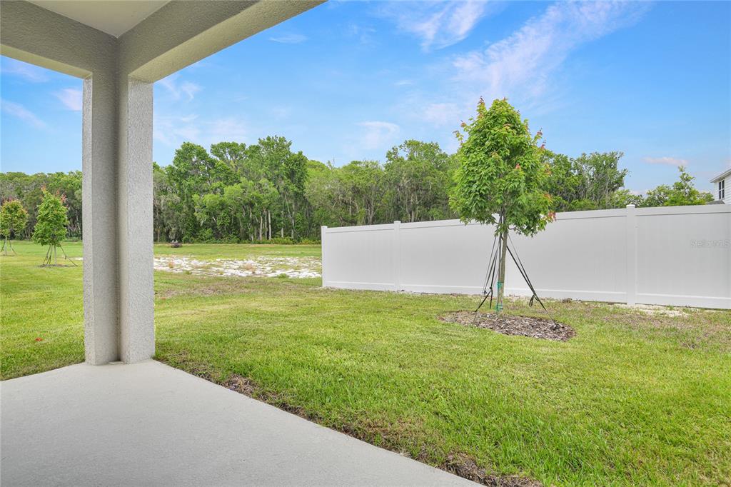 4060 Bannock Avenue Tavares, FL 32778 - Photo 19 of 24