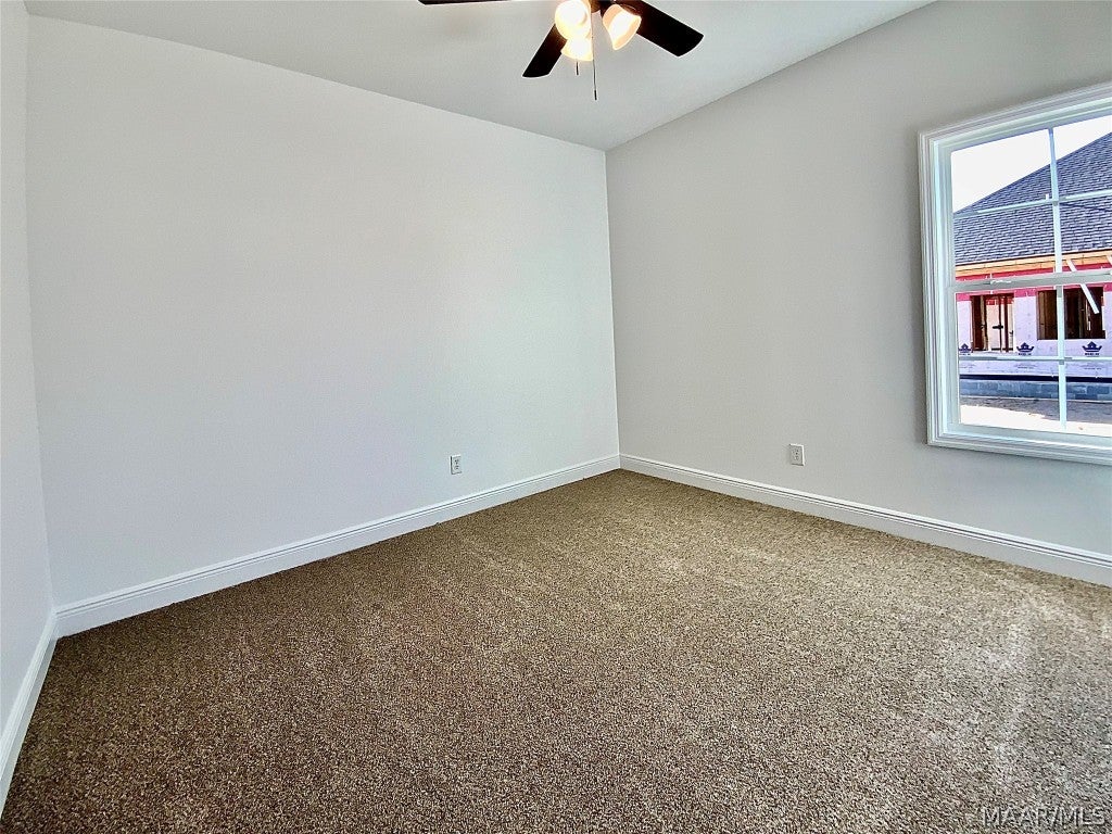 184 Sandbed Road Newton, AL 36352 - Photo 11 of 36 Gallery Image 11