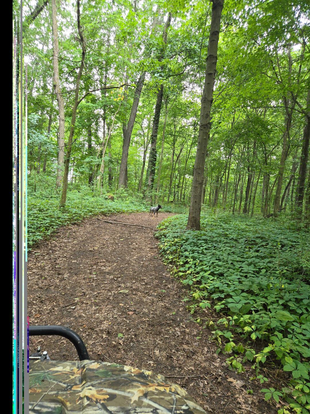 16565 14 Mile Road Battle Creek, MI 49014 - Photo 6 of 36 14 mile 16565 pic4