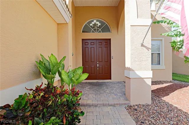 a potted plant sitting in front of a door
