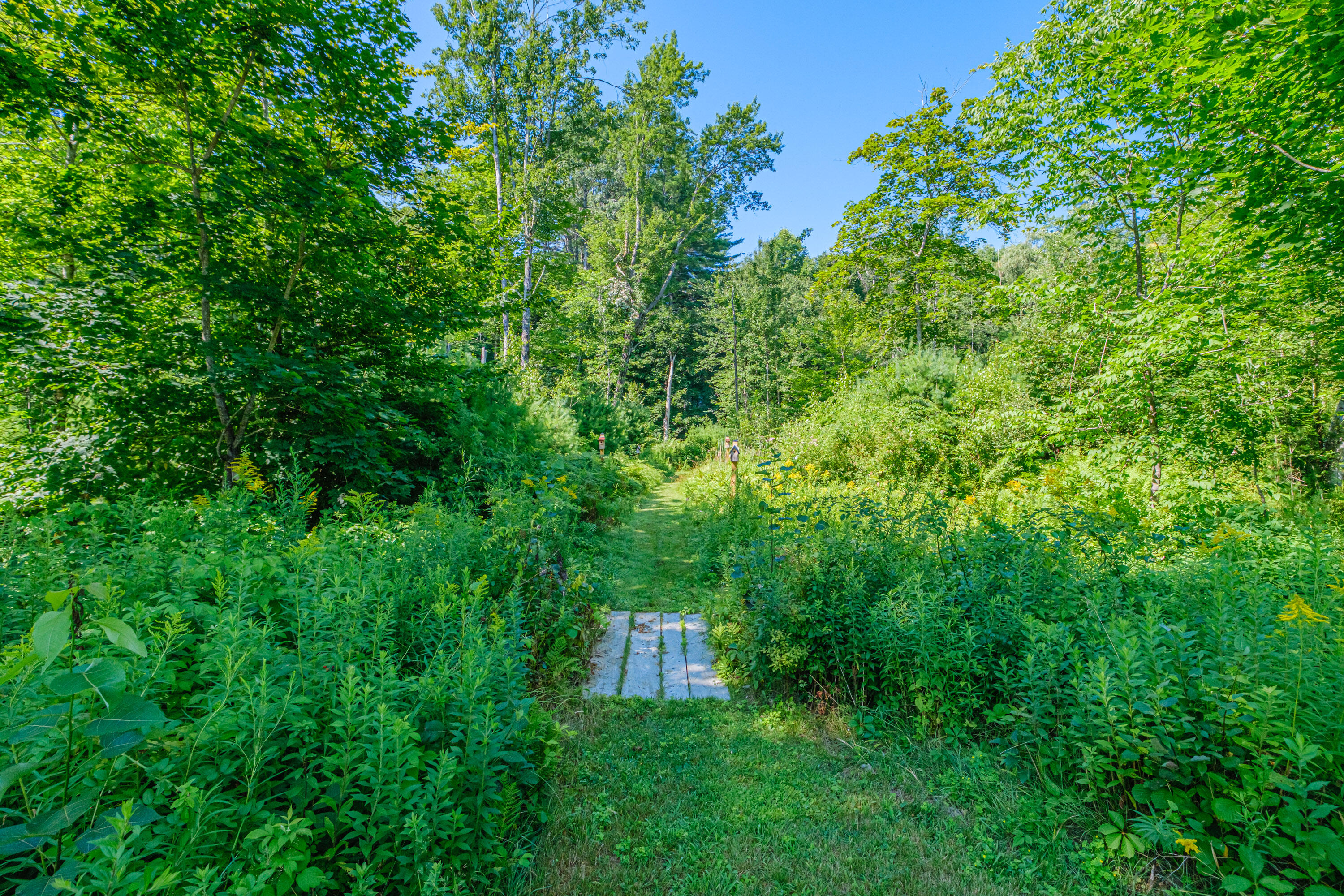 40 Old Elm Road Bridgton, ME 04009 - Photo 69 of 78 20250729gp-60110