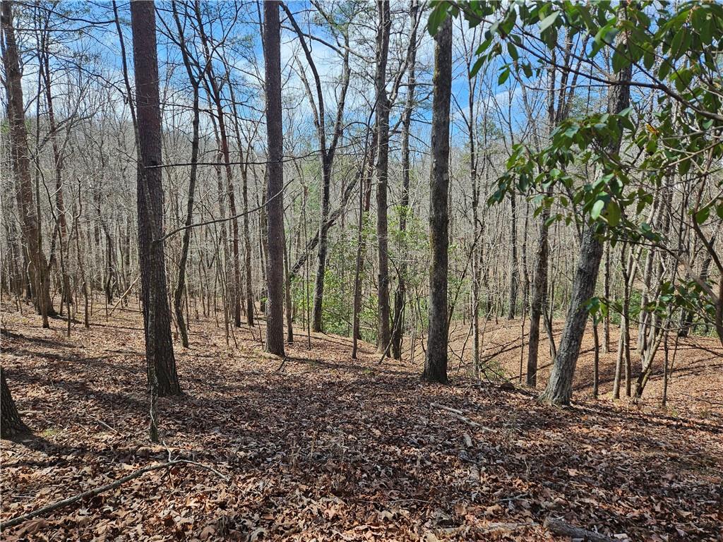 0 Bumpy Trail Dawsonville, GA 30534 - Photo 1 of 1