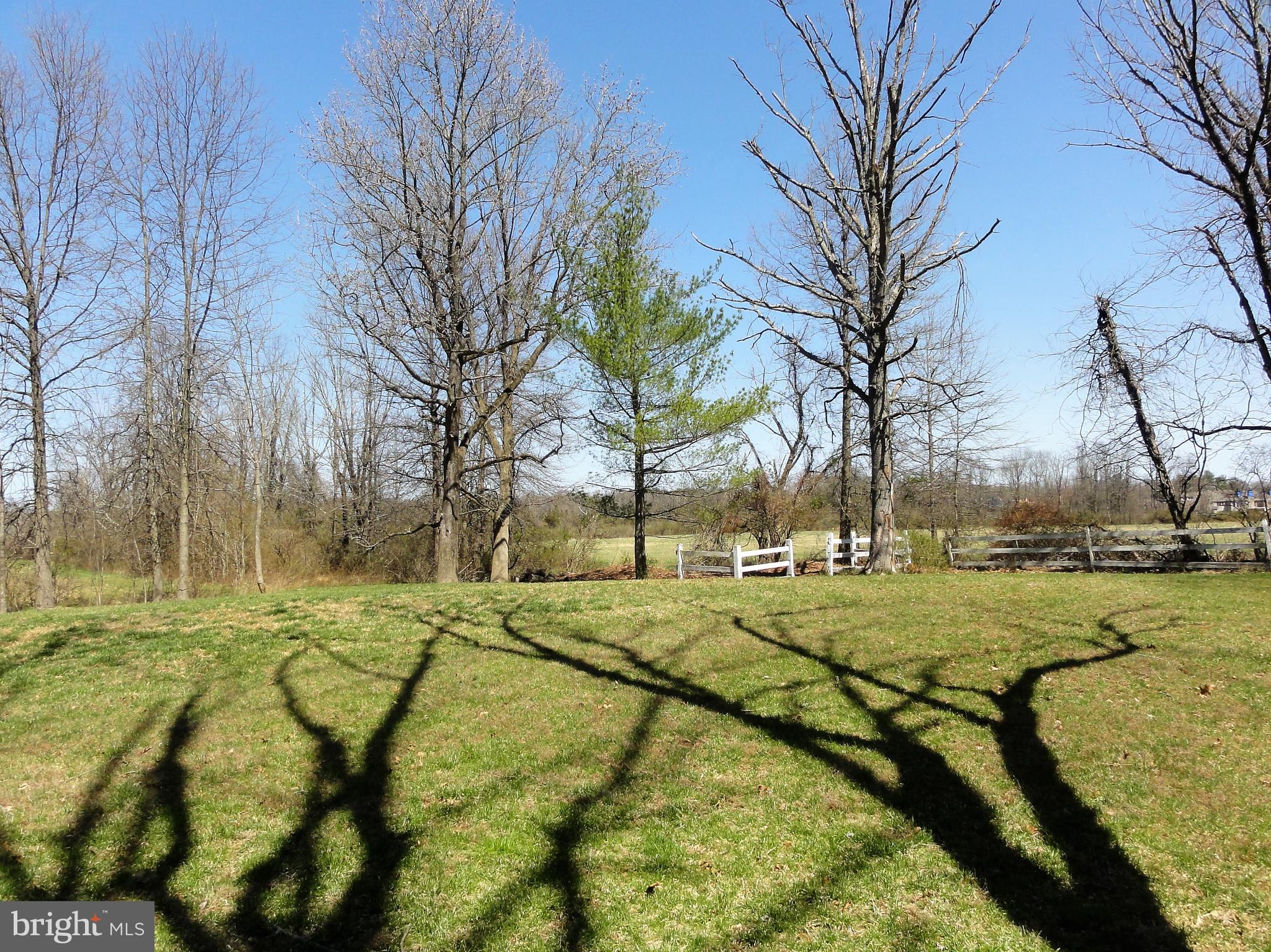 84 Carson Road Princeton, NJ 08540 - Photo 22 of 31 a view of yard with swimming pool