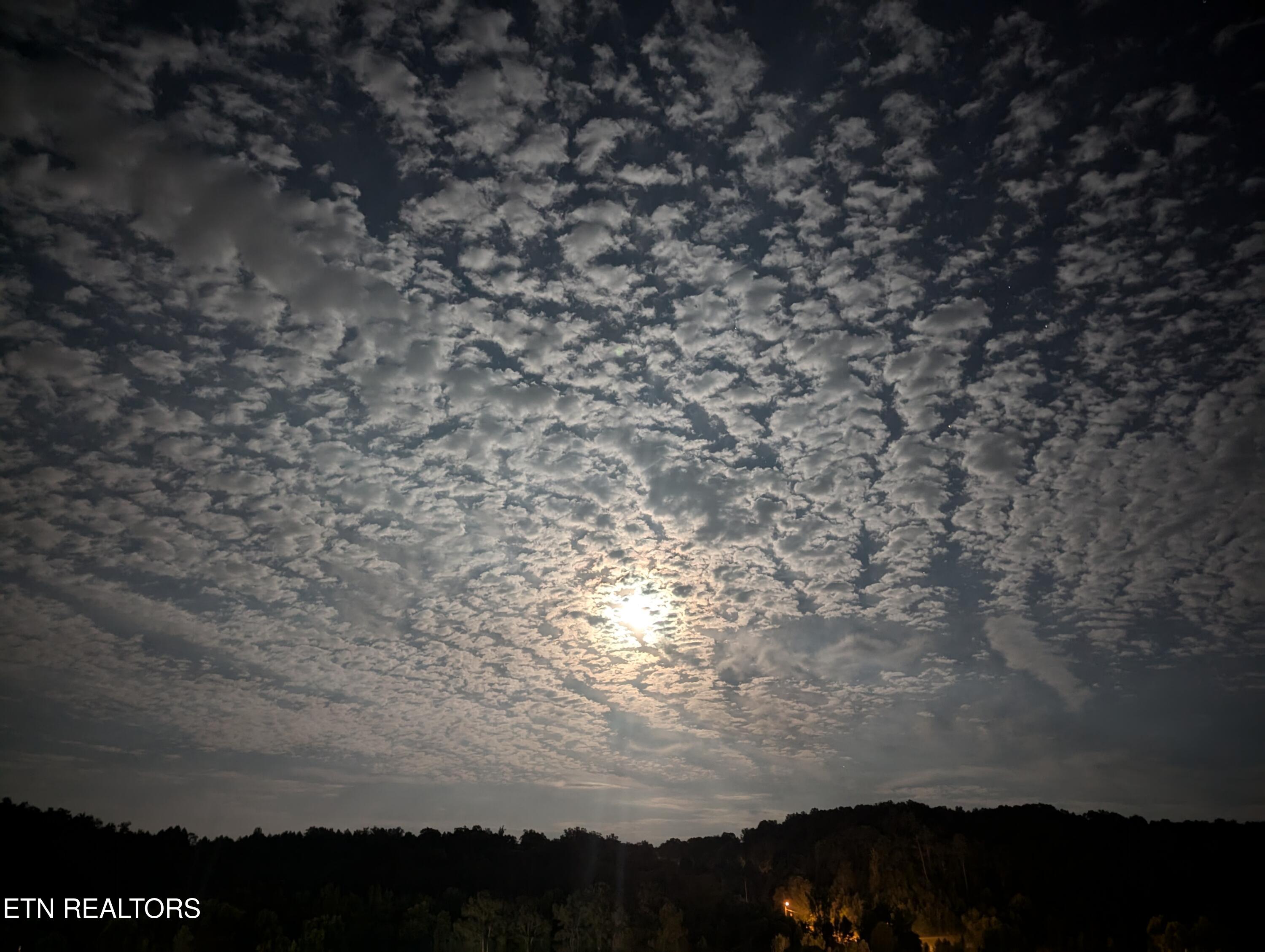 109 Chaseberry Road Oak Ridge, TN 37830 - Photo 46 of 46 rear view (8)