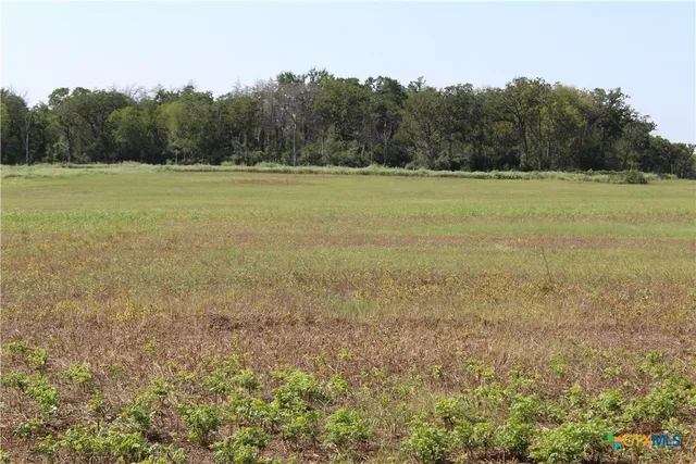 a view of a field with an ocean
