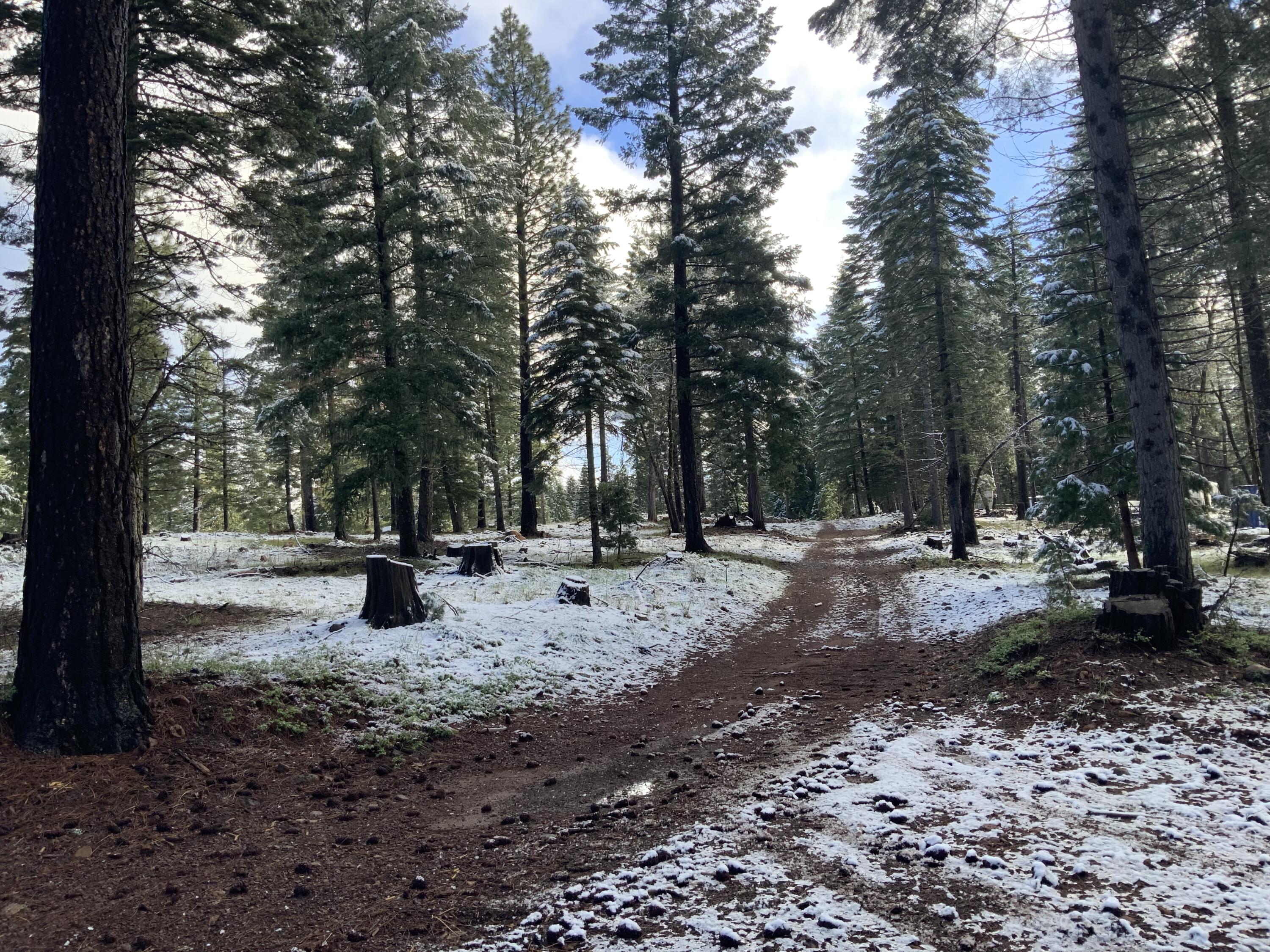 0 McCumber Lk Road Shingletown, CA 96088 - Photo 3 of 11 IMG_1065