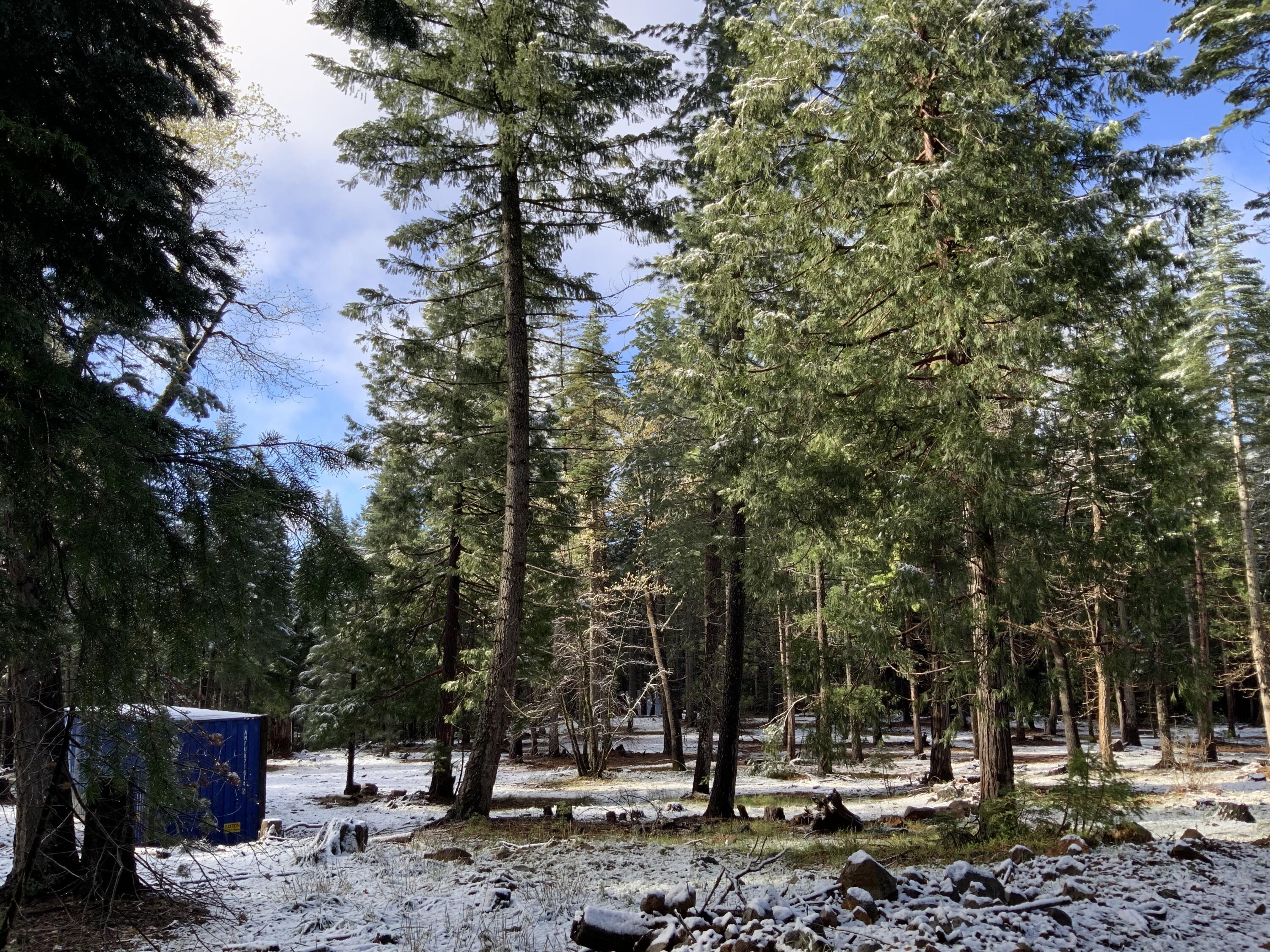 0 McCumber Lk Road Shingletown, CA 96088 - Photo 7 of 11 IMG_1067