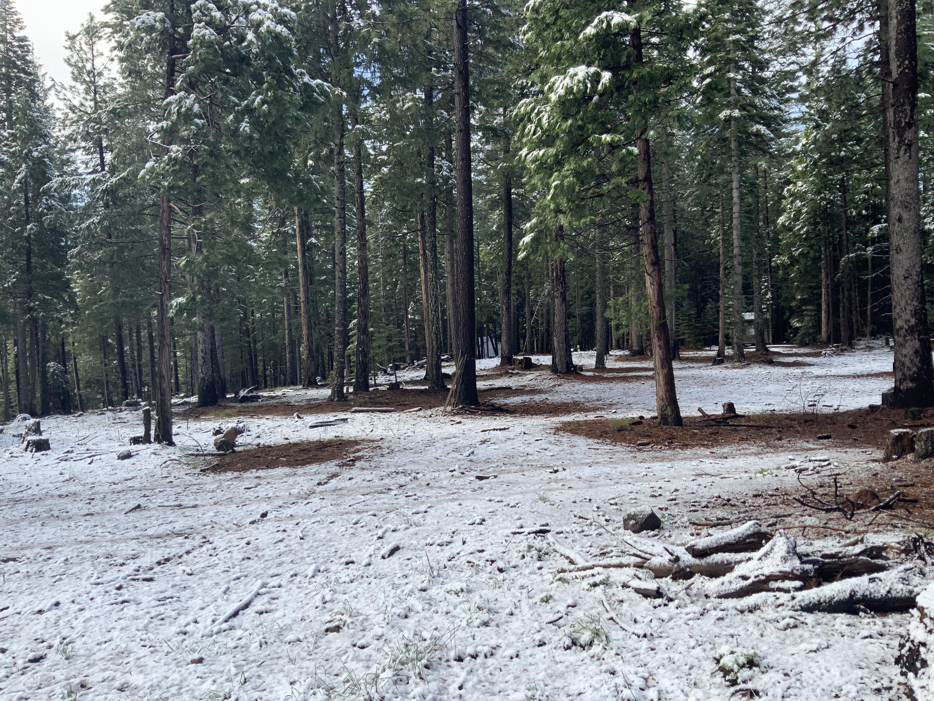 0 McCumber Lk Road Shingletown, CA 96088 - Photo 10 of 11 IMG_1062