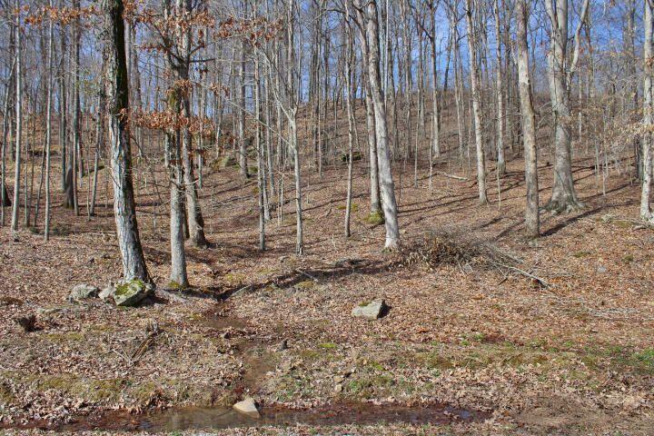 1282 Haynes Knob Road Somerset, KY 42501 - Photo 7 of 7 7