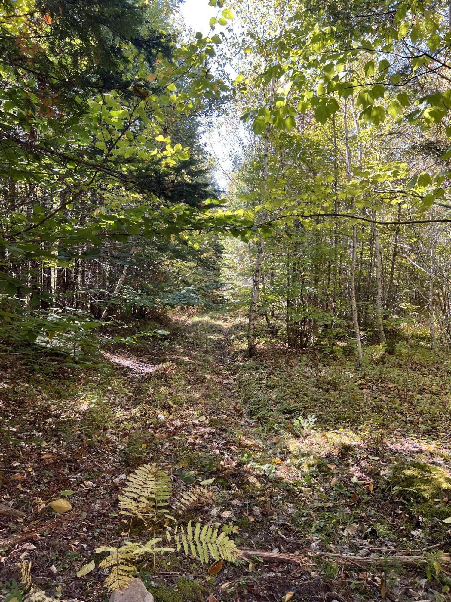 M5-l15b Suckertown Road Amity, ME 04471 - Photo 24 of 25 IMG_7214