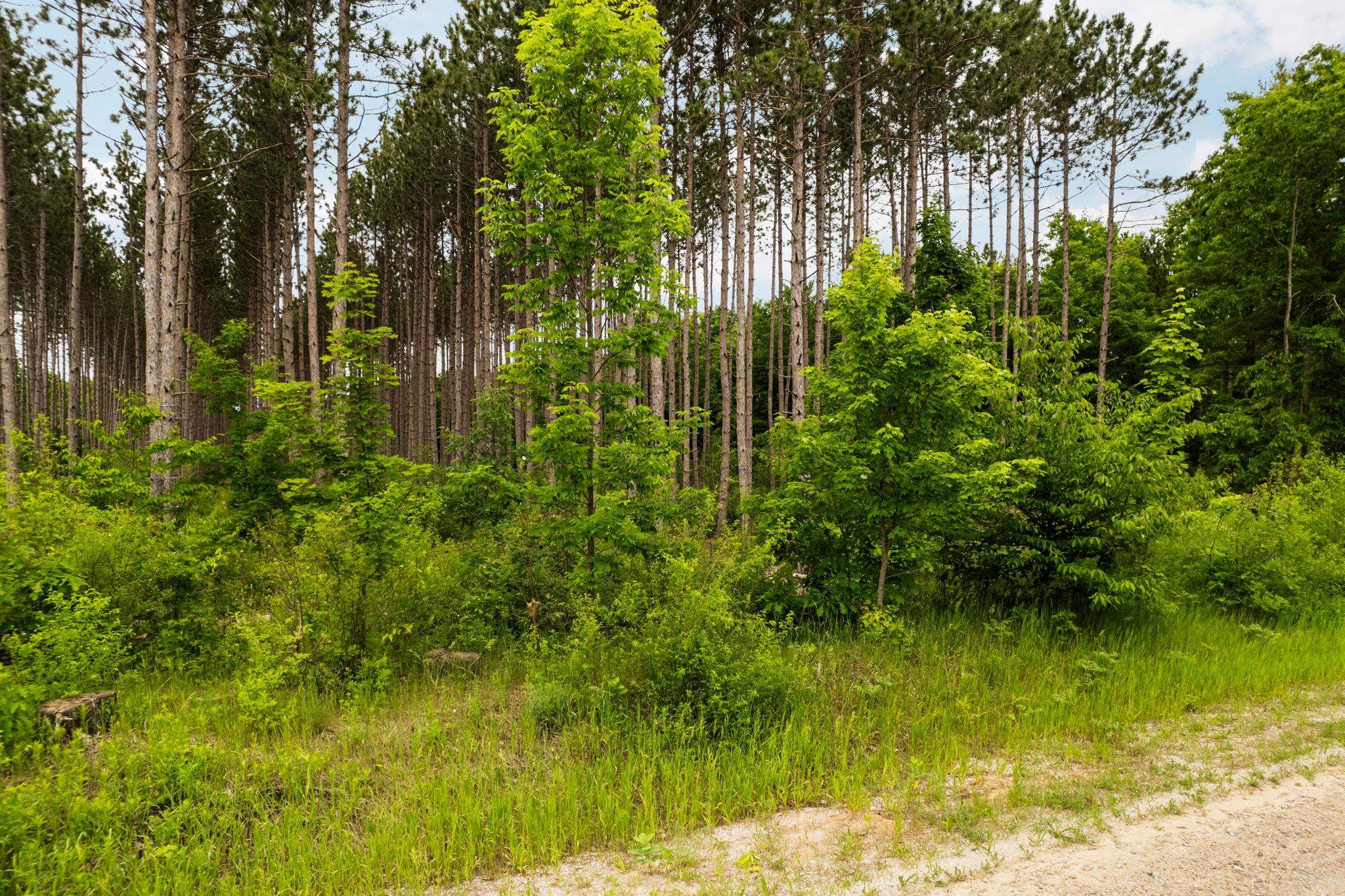 Parcel E St Johns Road Interlochen, MI 49643 - Photo 13 of 39