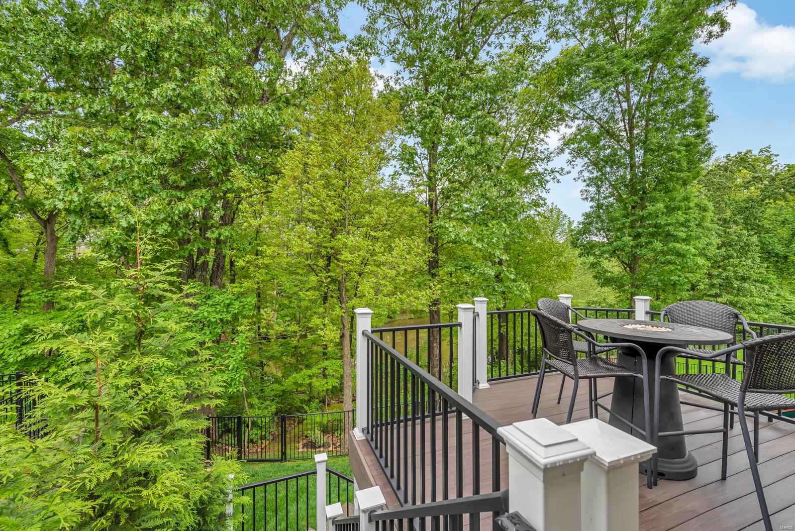 1231 Spring Lilly Drive High Ridge, MO 63049 - Photo 40 of 46