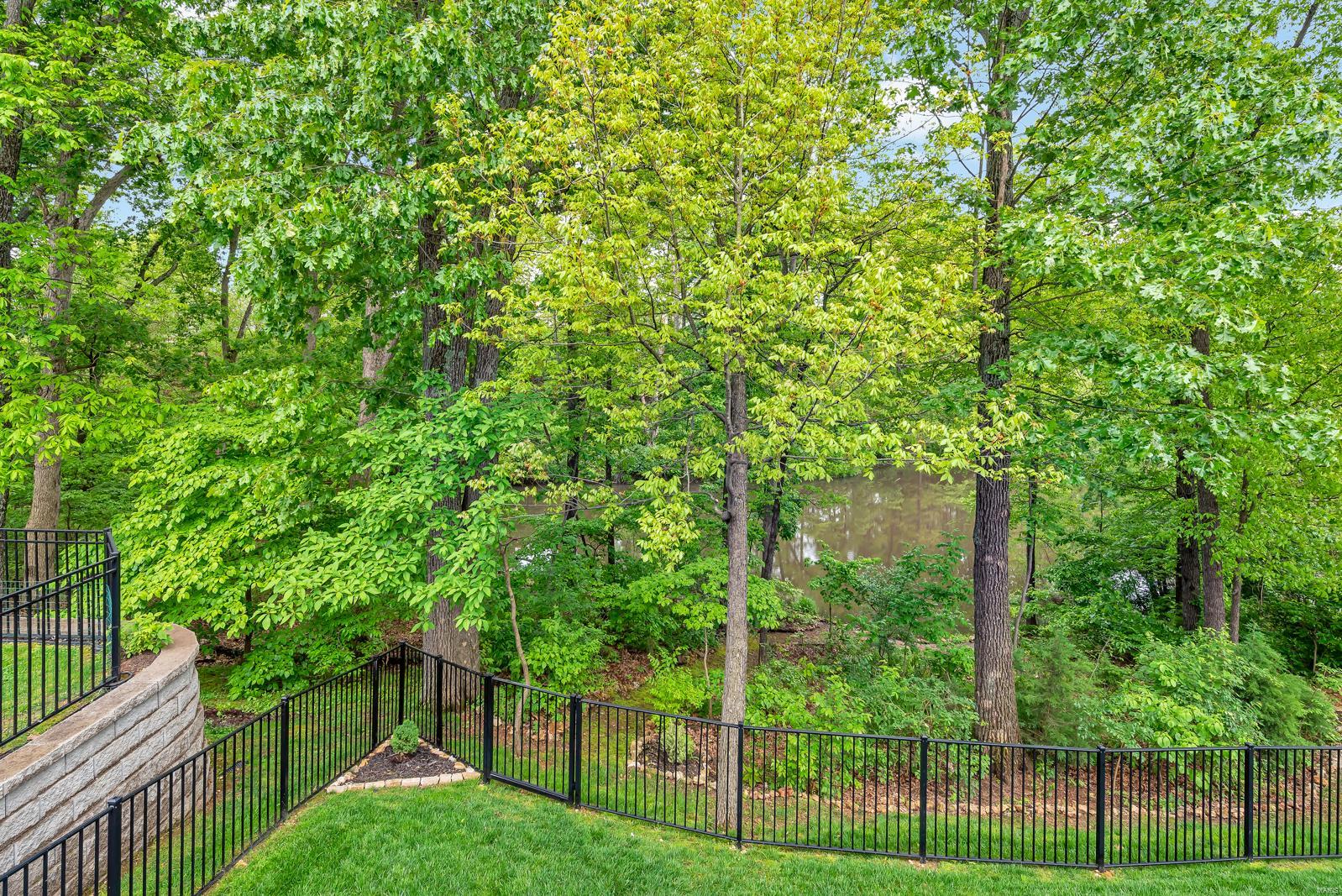 1231 Spring Lilly Drive High Ridge, MO 63049 - Photo 41 of 46