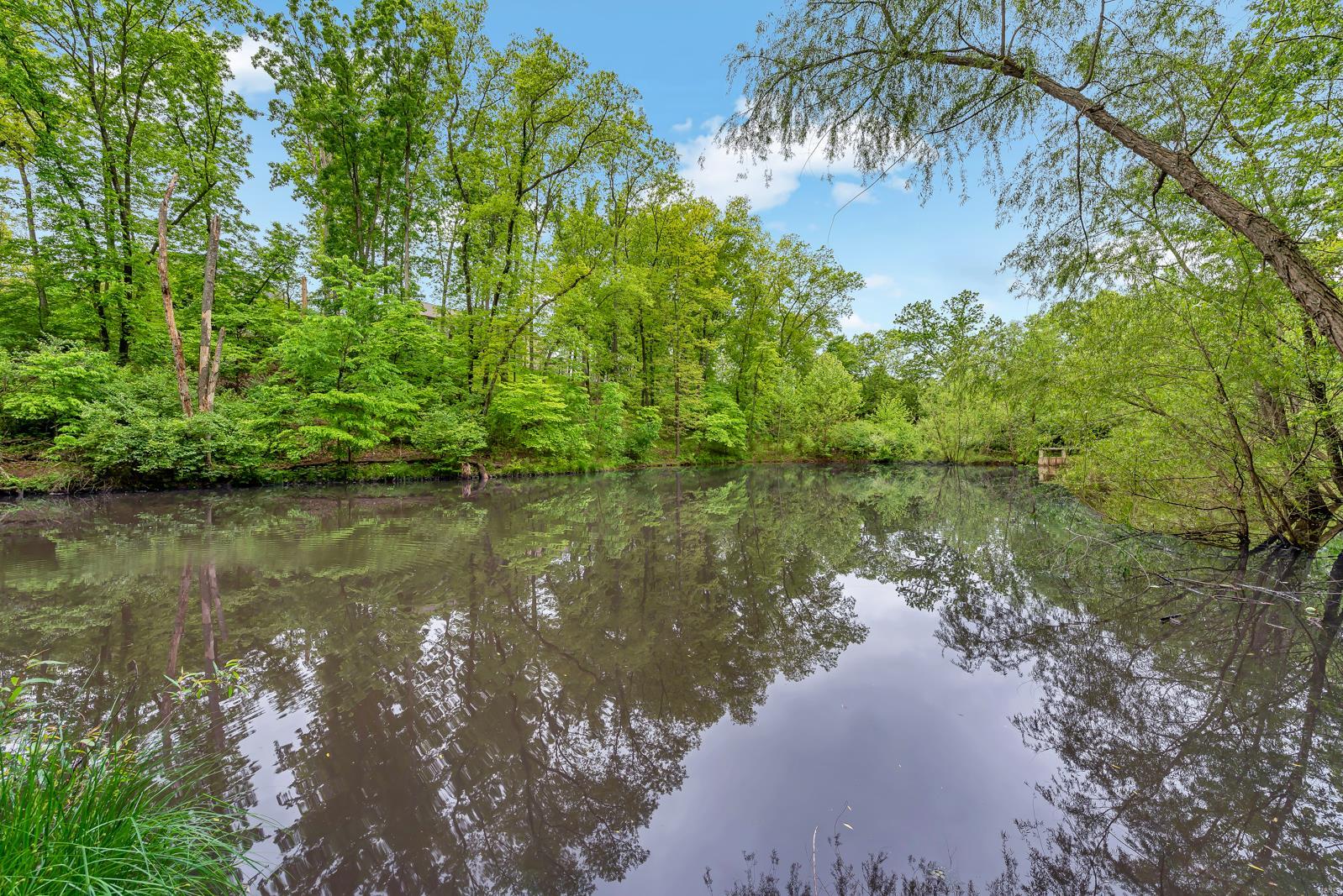 1231 Spring Lilly Drive High Ridge, MO 63049 - Photo 45 of 46