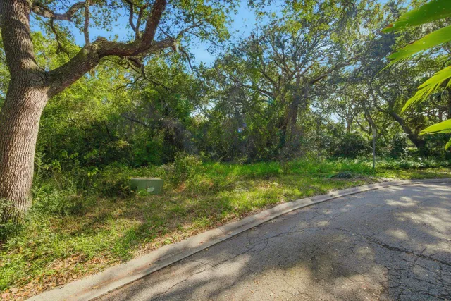 a view of a yard with a tree