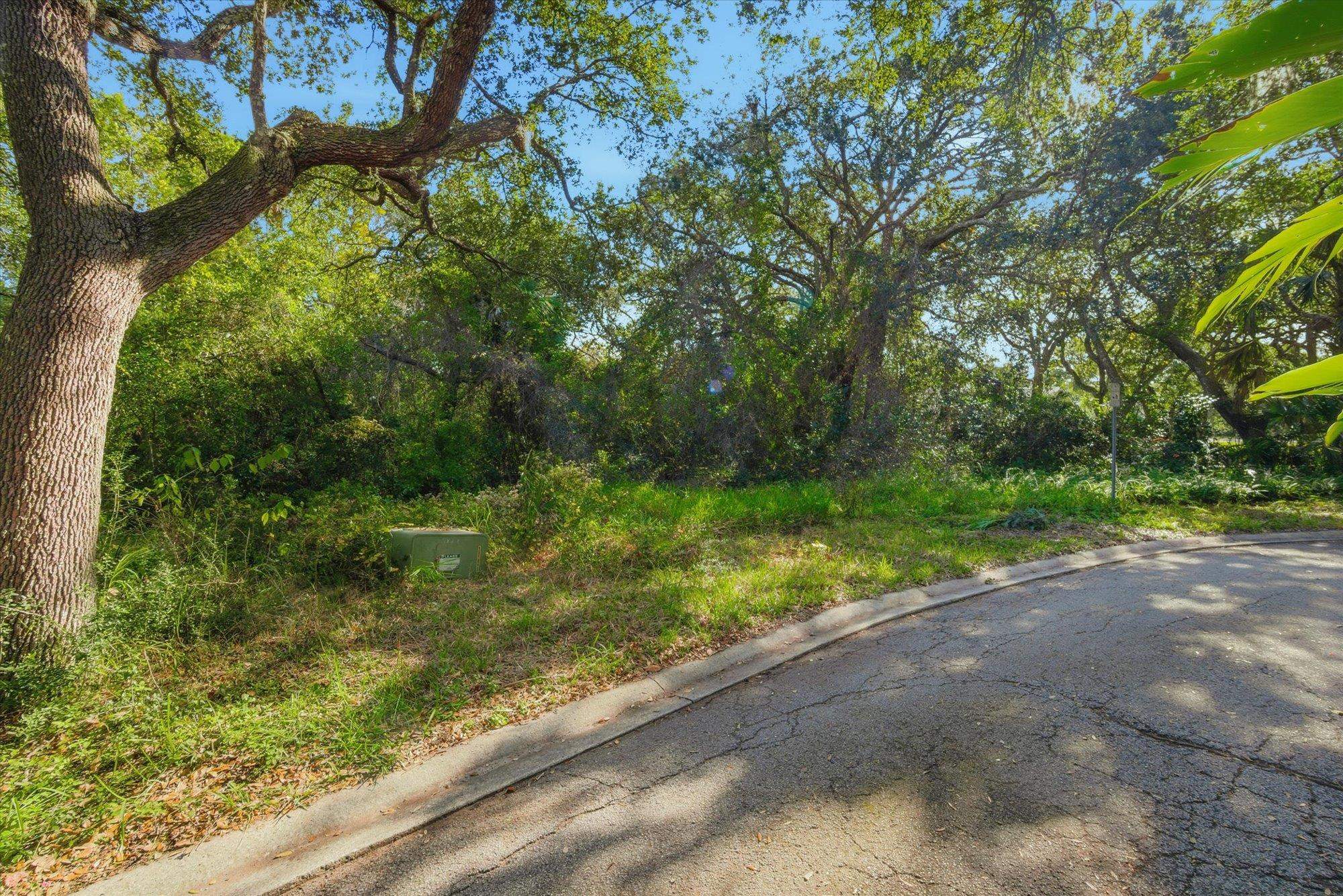 44 Ocean Pines Drive St. Augustine, FL 32080 - Photo 16 of 17 a view of backyard with green space