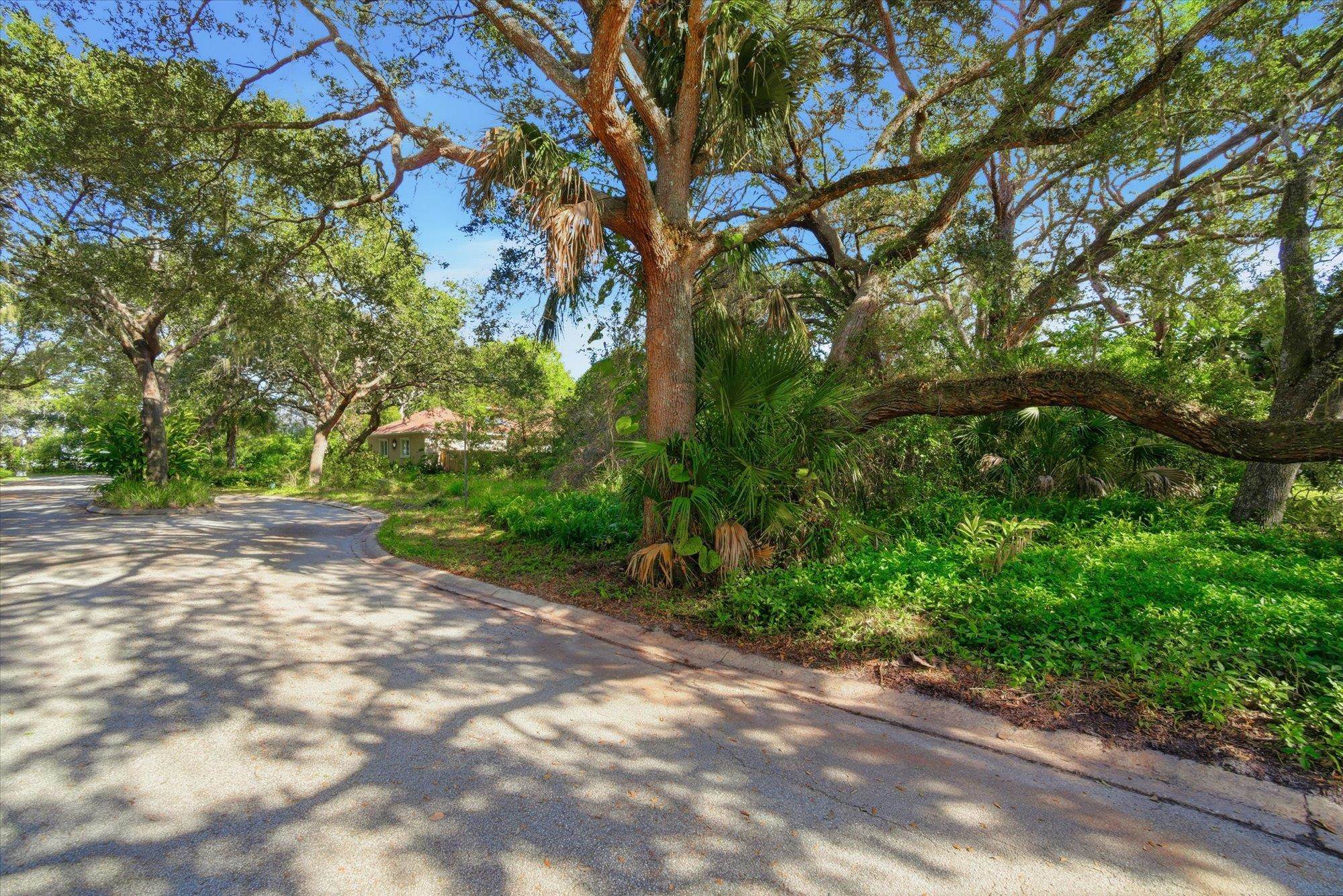 44 Ocean Pines Drive St. Augustine, FL 32080 - Photo 2 of 17 a view of a yard with plants and trees