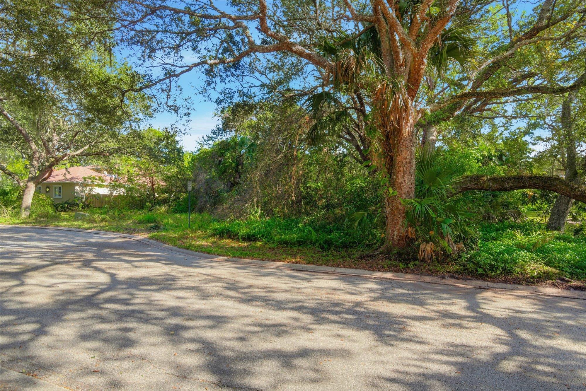 44 Ocean Pines Drive St. Augustine, FL 32080 - Photo 3 of 17 a view of a yard with a tree