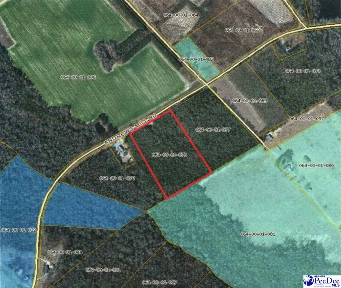 Lot 2 Andrews Mill Road Lamar, SC 29069 - Photo 1 of 1 Gallery Image 1