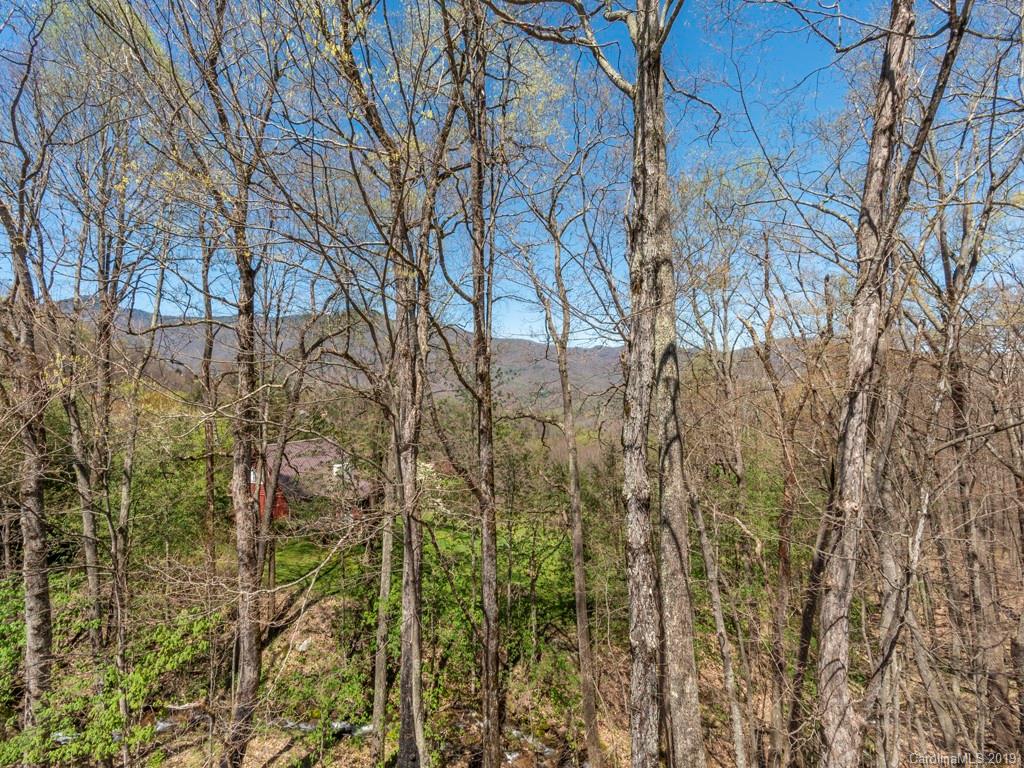 1114 Saunook Road Waynesville, NC 28786 - Photo 10 of 21
