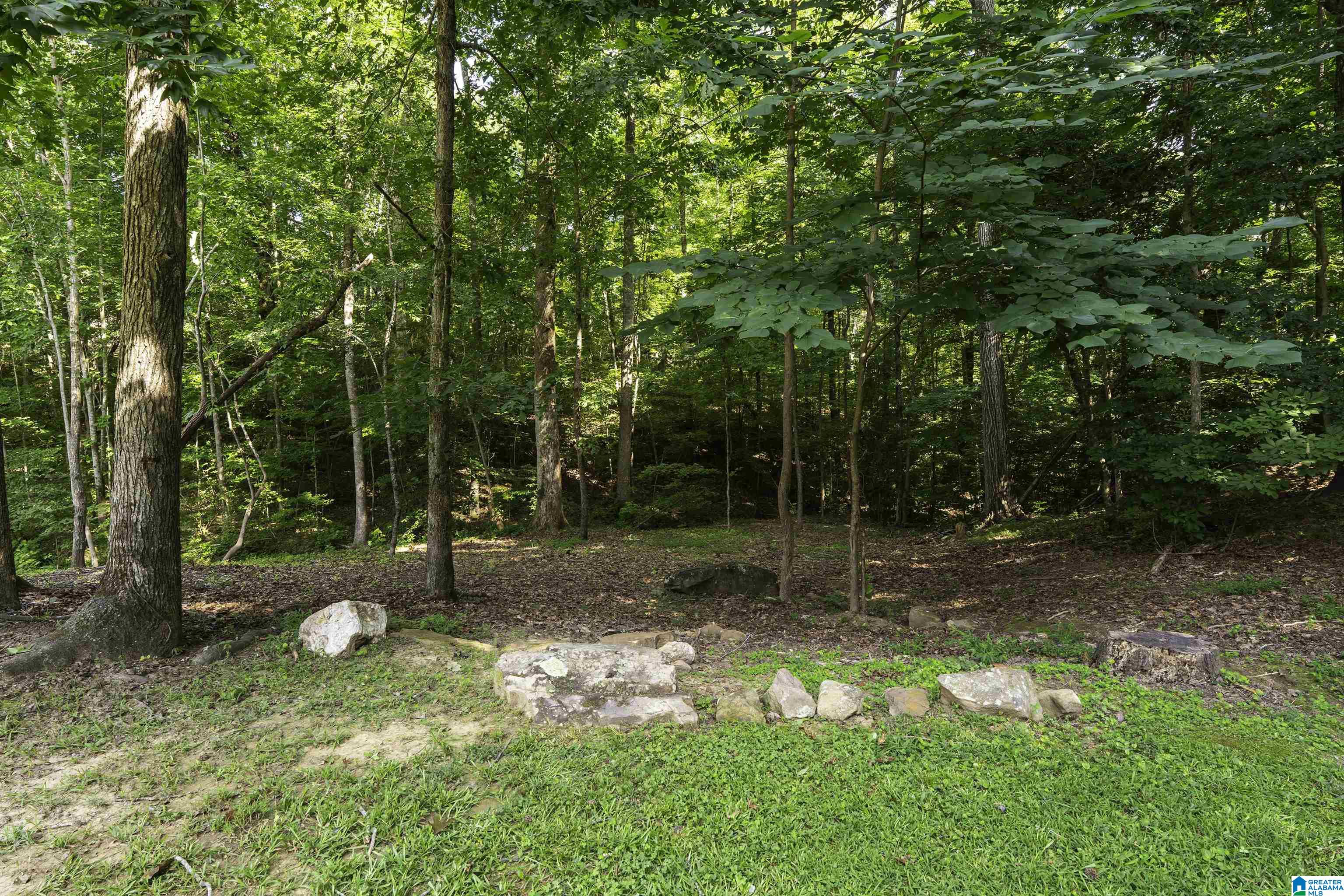 325 Middleridge Drive Springville, AL 35146 - Photo 49 of 55