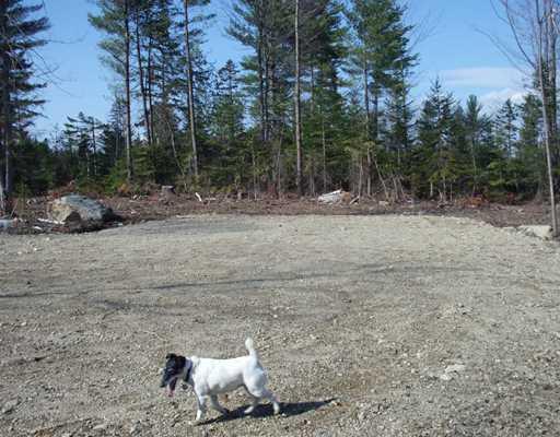 0 Fairbanks Road Farmington, ME 04938 - Photo 6 of 8 Land/Lot.