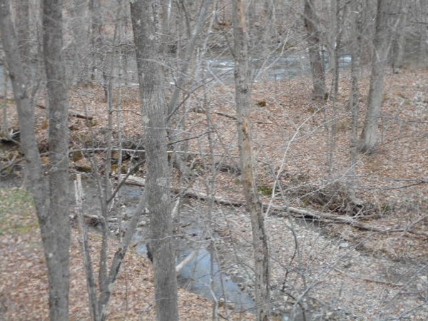 Lot 1 Main Road Colrain, MA 01340 - Photo 3 of 9