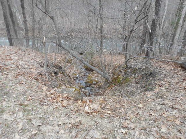 Lot 1 Main Road Colrain, MA 01340 - Photo 7 of 9 a view of a dry yard with trees