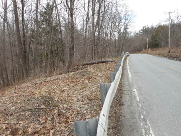 Lot 1 Main Road Colrain, MA 01340 - Photo 8 of 9 a view of a yard with trees