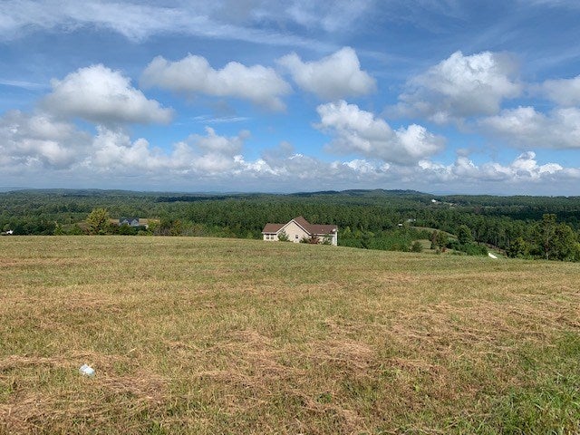 Gardner Farm Road, Unit 4 Appomattox, VA 24522 - Photo 3 of 8 Gallery Image 3