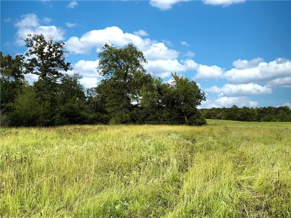 a view of a field with an ocean