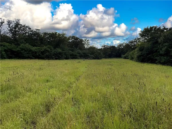 a view of a green yard