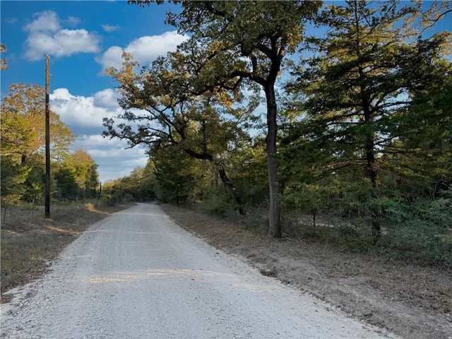 a view of a dry yard with trees
