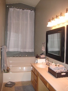 6608 East Raftriver Street Mesa, AZ 85215 - Photo 3 of 20 ba2