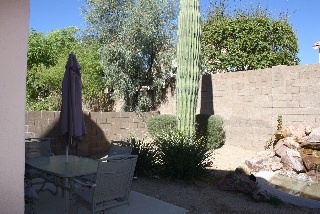 6608 East Raftriver Street Mesa, AZ 85215 - Photo 5 of 20 back1