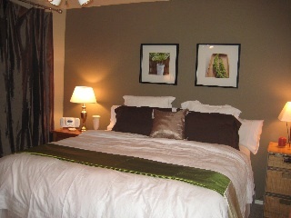 6608 East Raftriver Street Mesa, AZ 85215 - Photo 10 of 20 br4