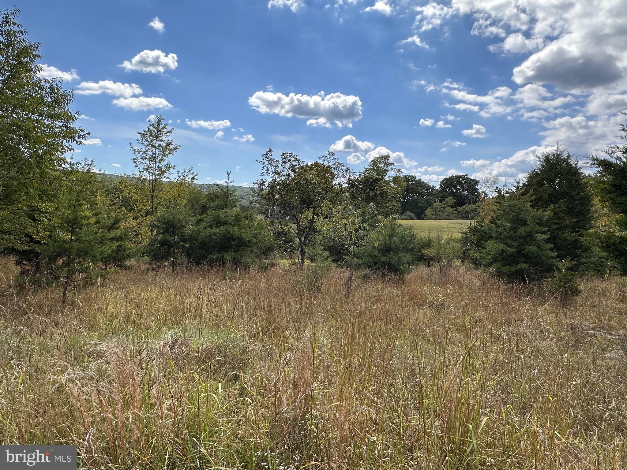 Knobley Road Keyser, WV 26726 - Photo 3 of 19