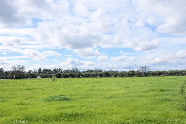 a view of a garden with a building in the background