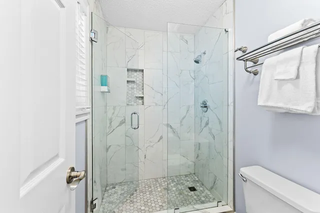 a bathroom with a shower and a toilet