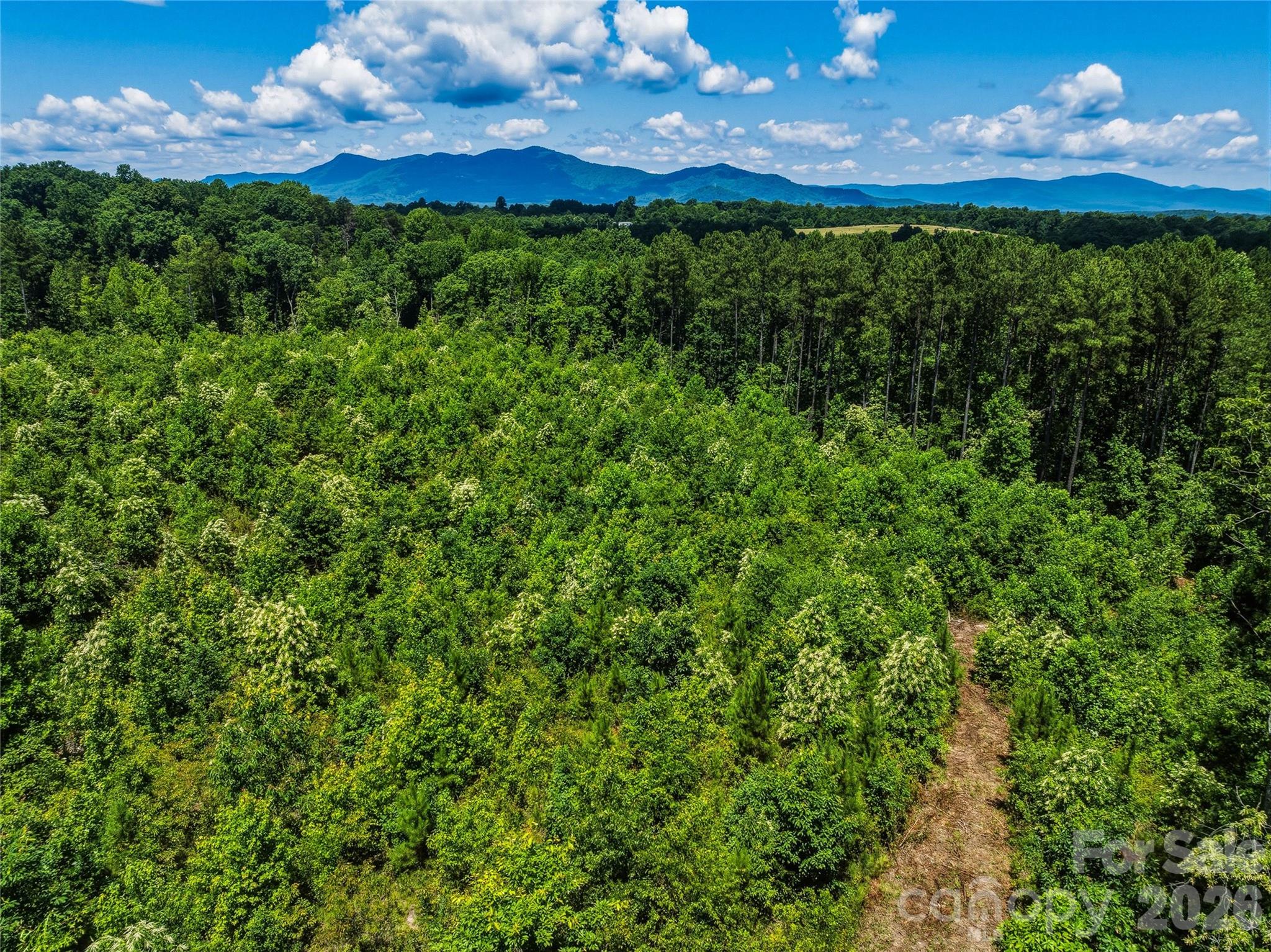 6783 Peniel Road Tryon, NC 28782 - Photo 19 of 36