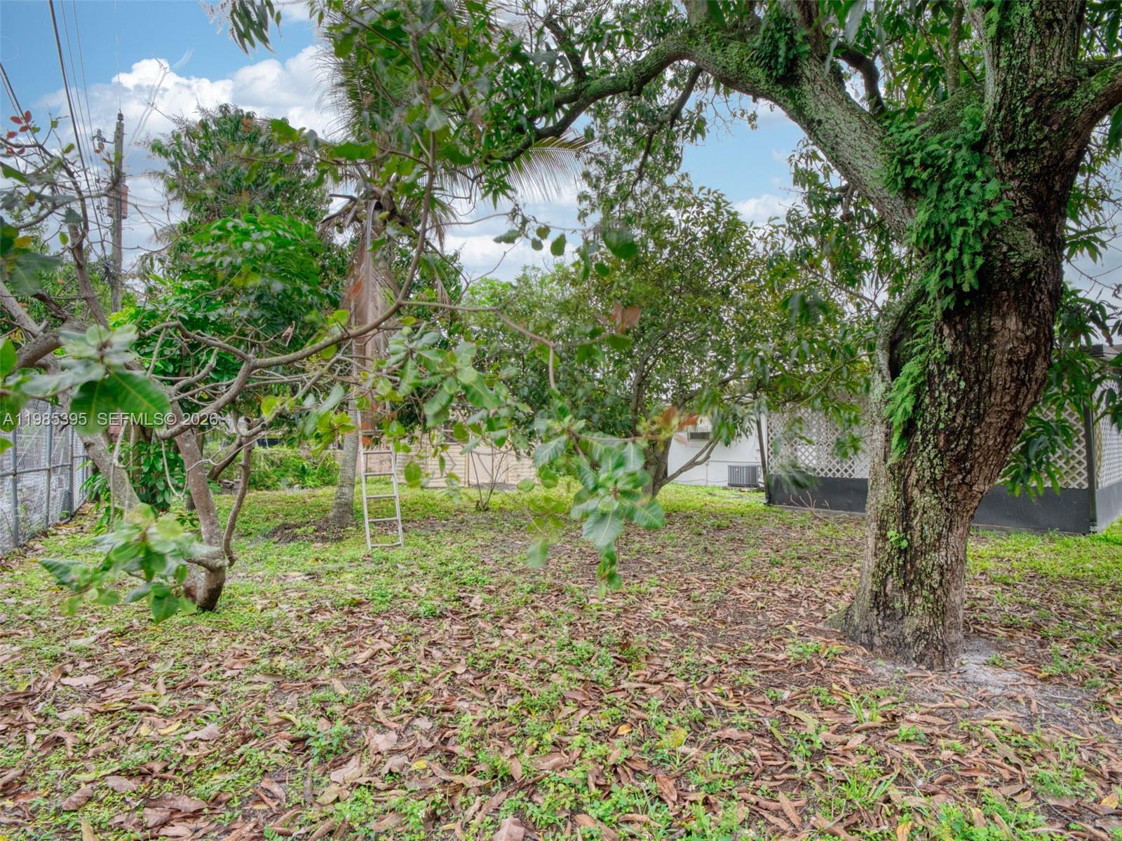 6111 Southwest 20th Court Miramar, FL 33023 - Photo 29 of 31 a view of a tree in a yard