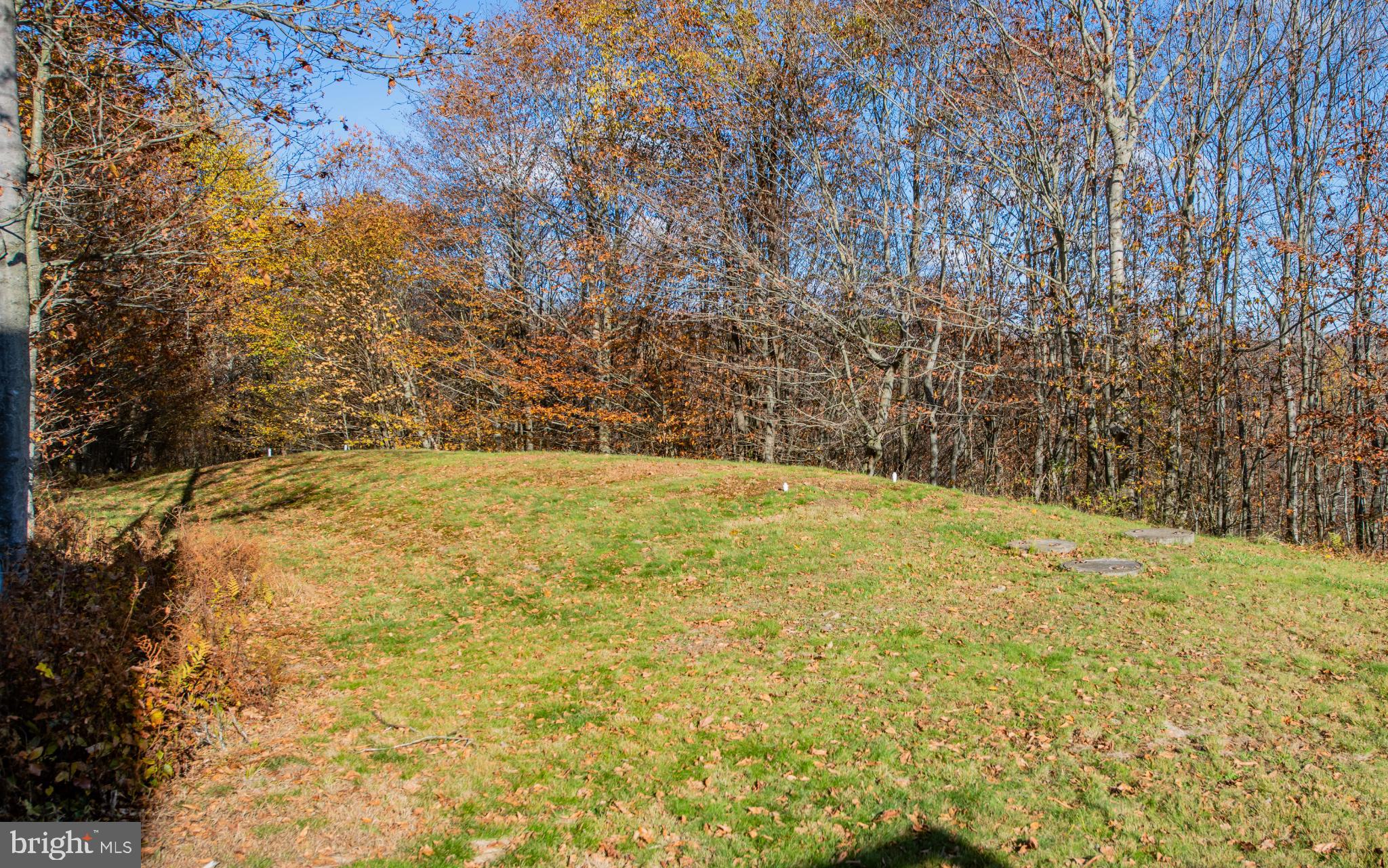 115 Glory Rdg Road Shunk, PA 17768 - Photo 30 of 35 Serene hillside embraced by autumn hues.