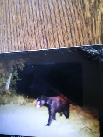 $1,055,000 | Tbd 193rd Avenue, Richmond, MN 56368