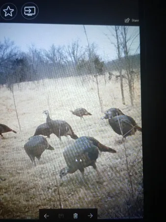 $1,055,000 | Tbd 193rd Avenue, Richmond, MN 56368