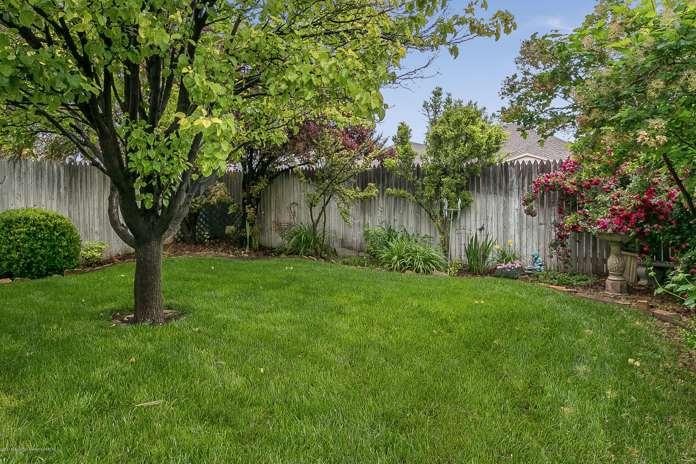 6600 Rally Road Amarillo, TX 79119 - Photo 20 of 22 Back Yard 2