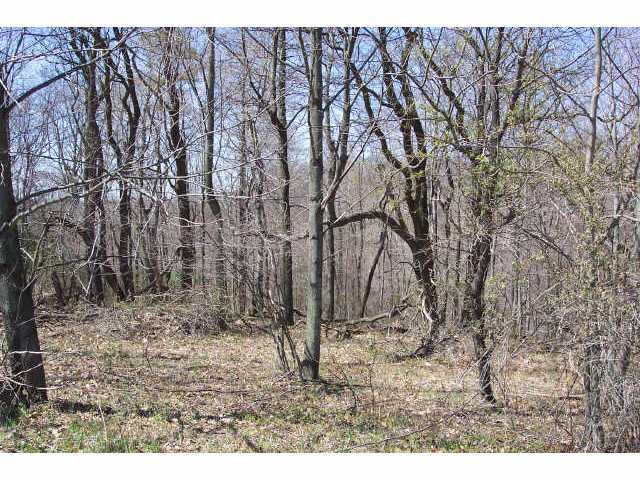 0 Southeast Barneby Road, Unit LOT 9 Lancaster, OH 43130 - Photo 3 of 6