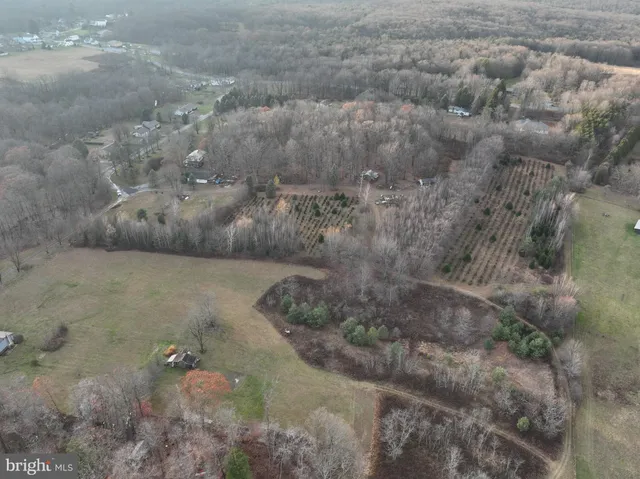 a view of a dry yard with green space